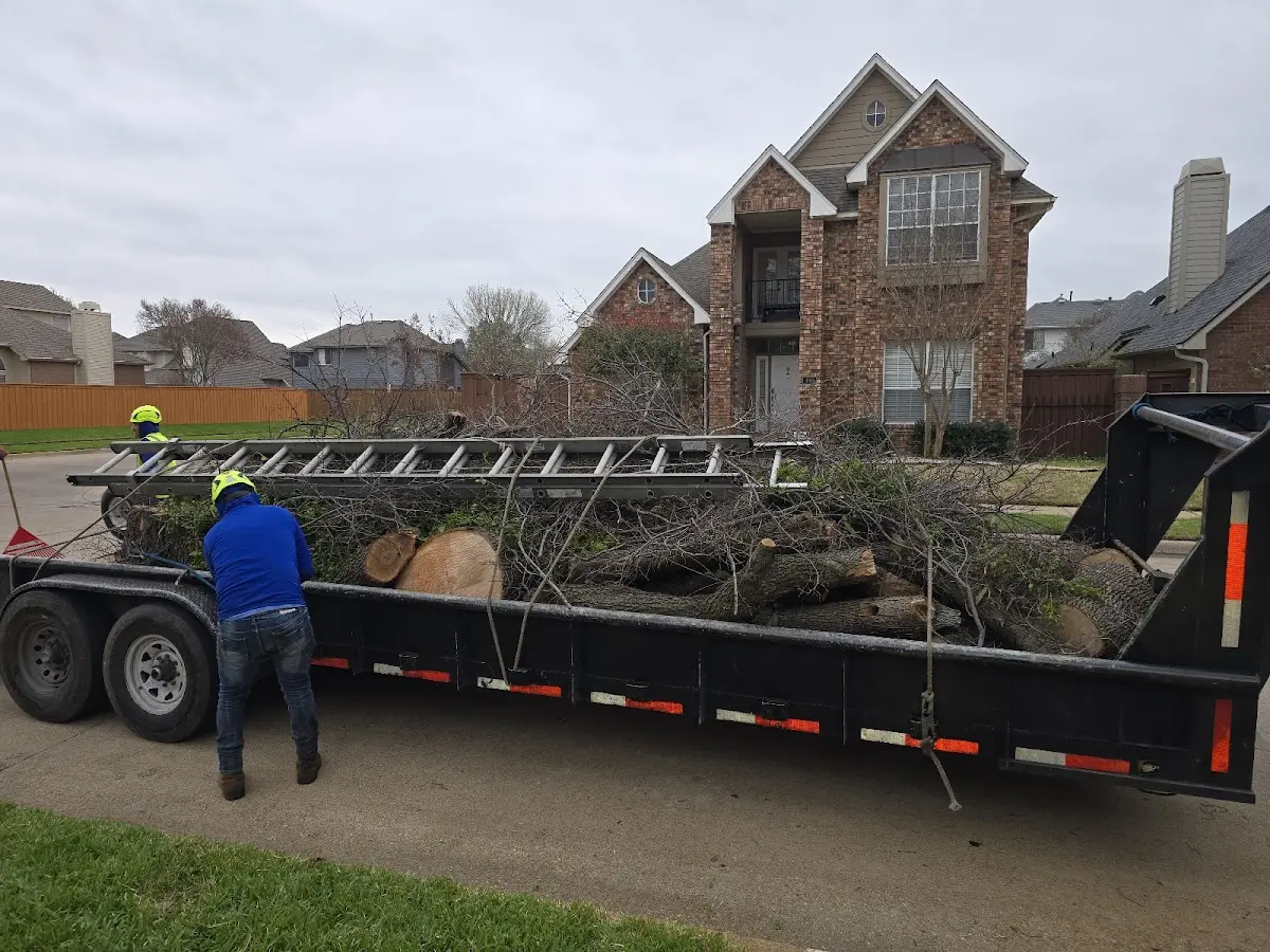 Expert Tree Fertilization with proper safety equipment in Round Rock